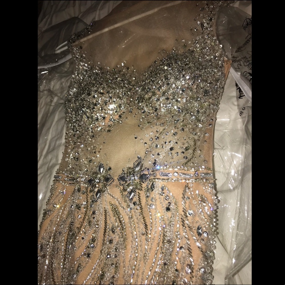 Original Terani Couture Formal Dress - Picture 2 of 5